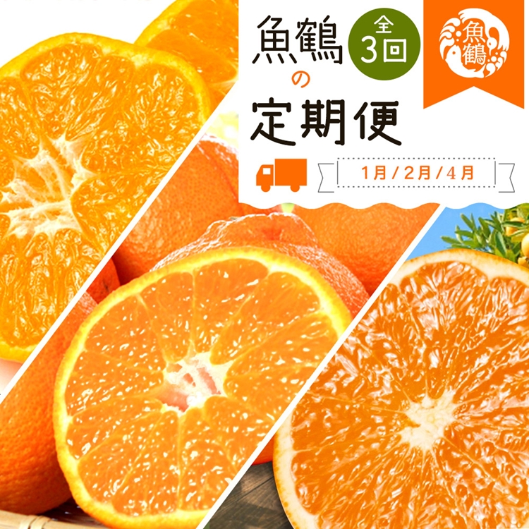 〈定期便〉【1・2・4月 全3回】紀州和歌山産旬の柑橘セット(みかん・不知火・清見)