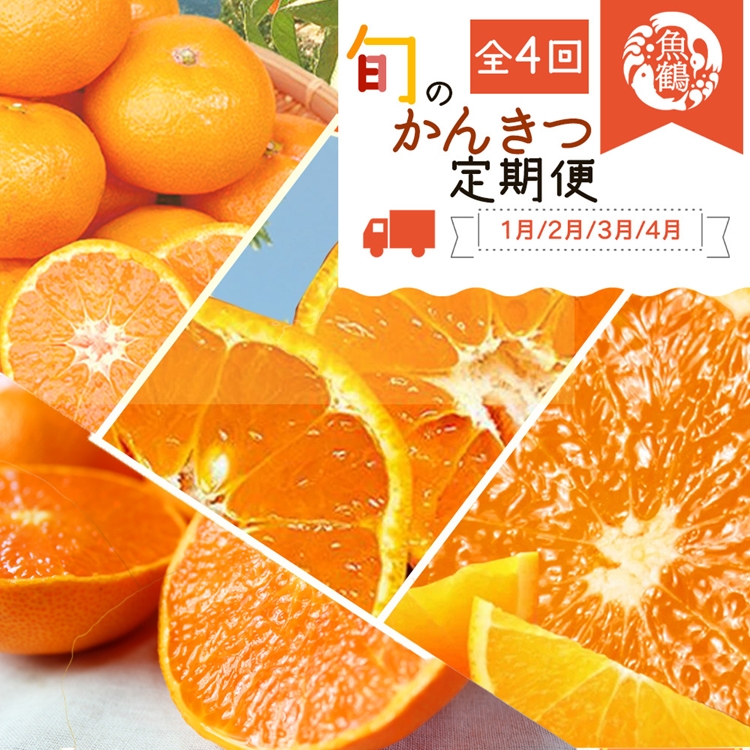 〈定期便〉【1・2・3・4月 全4回】紀州和歌山産旬の柑橘セット(みかん・不知火・せとか・清見)