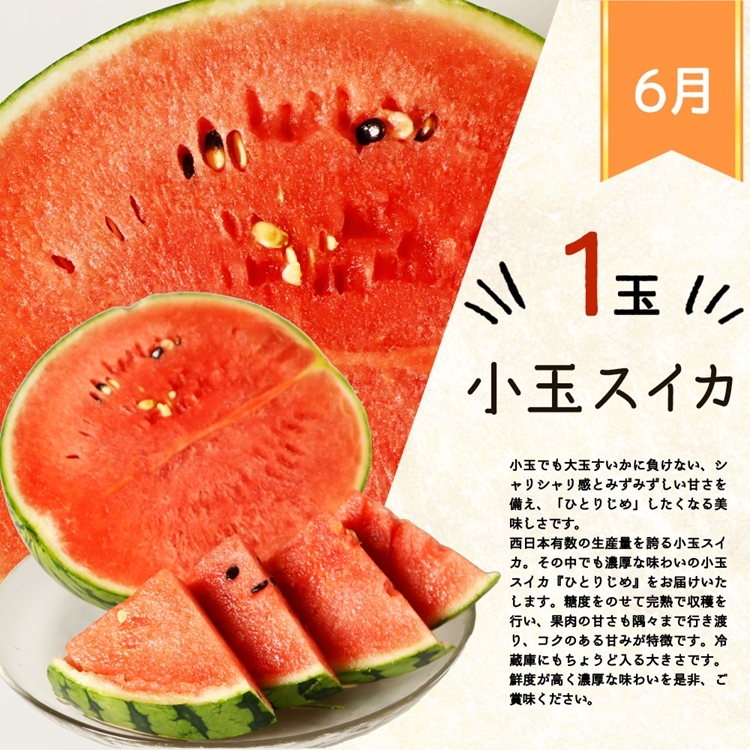 ãå®æäŸ¿ãã6ã»8ã»10ã»12æ å
š4åãçŽå·åæå±±ç£æ¬ã®ãã«ãŒãã»ãã(ã¹ã€ã«ã»æ¡ã»ã²ãããæ¿ã»ã¿ãã)