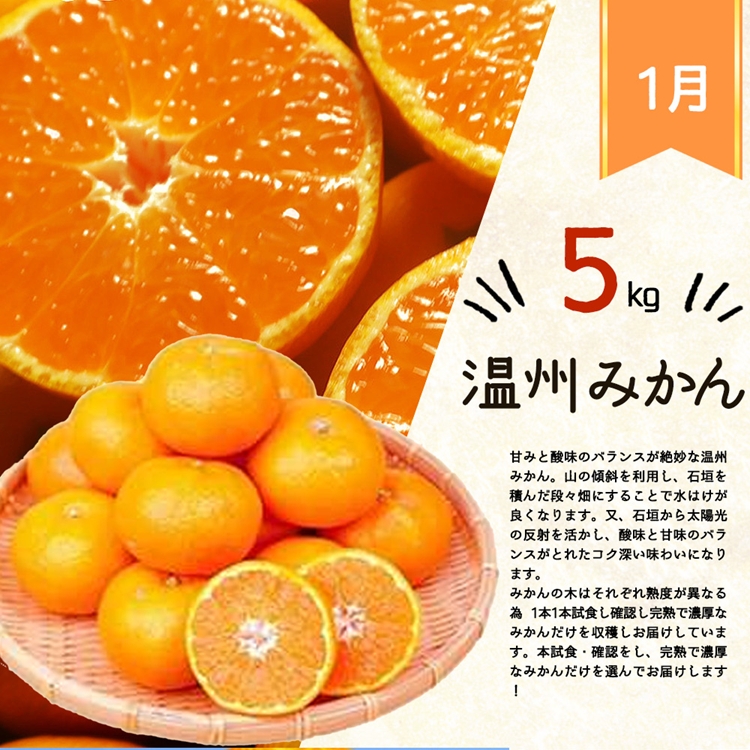 〈定期便〉【1・4・7・10月 全4回】紀州和歌山産旬のフルーツセット(みかん・清見・桃・柿)