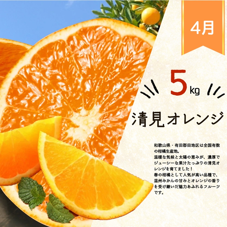 〈定期便〉【1・4・7・10月 全4回】紀州和歌山産旬のフルーツセット(みかん・清見・桃・柿)