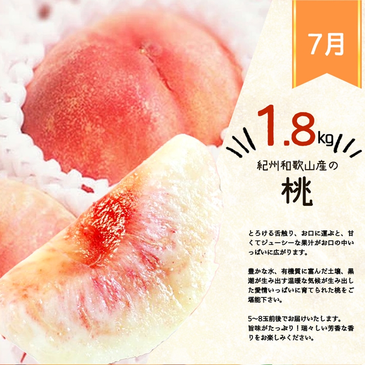 〈定期便〉【1・4・7・10月 全4回】紀州和歌山産旬のフルーツセット(みかん・清見・桃・柿)