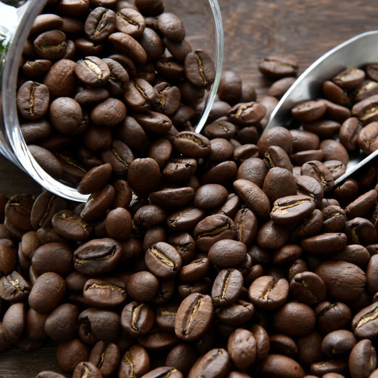 自家焙煎コーヒー豆（ストロング・ヨーロピアン）各300gとカリタ102コーヒーフイルター100枚セット