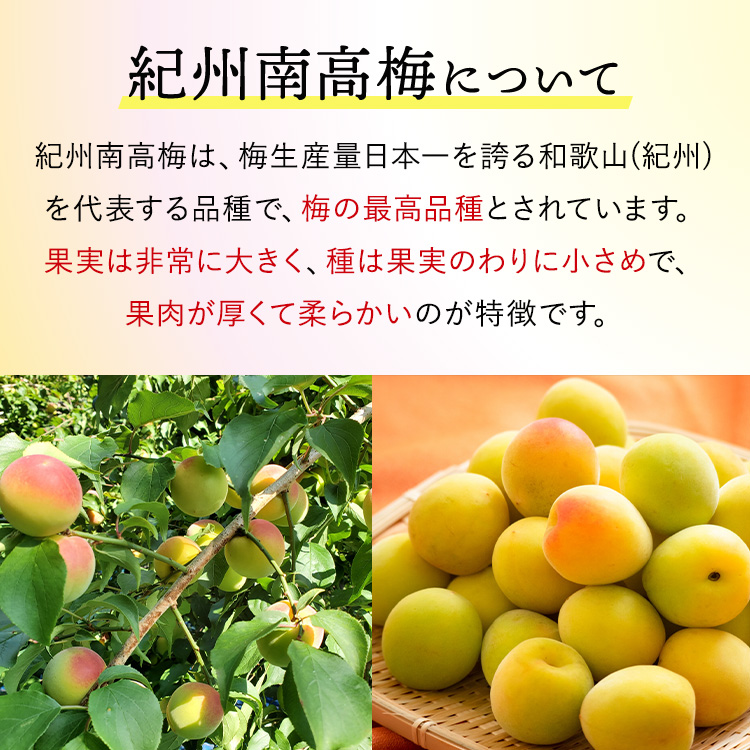 【贈答用】紀州南高梅　はちみつ入り味梅　400g　化粧箱入 | ギフト プレゼント 国産 蜂蜜 ※北海道・沖縄・離島への配送不可