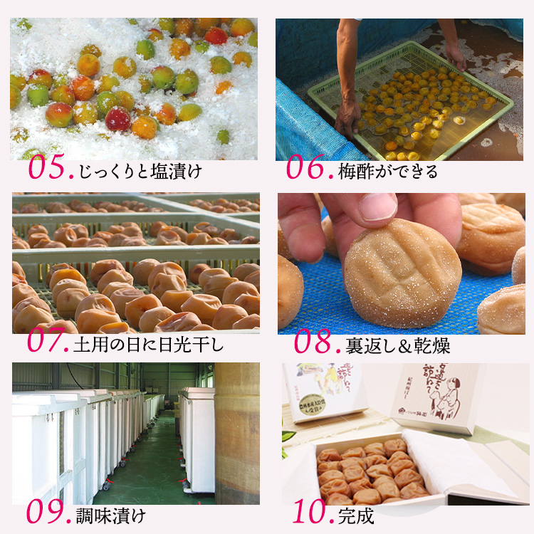 紀州南高梅　優梅　500g　ご家庭用 | 国産 ※北海道・沖縄・離島への配送不可