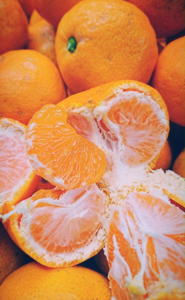 ã¡ã£ã¡ã㪠æç°ã¿ãã ãã€ã¶ã¿ãã10kg ïŒ3Sïœ2Sãµã€ãºæ··åïŒ| å°ç² å
ã»ã³ãµãŒéžå¥ æž©å·ã¿ãã ã¿ãã ææ© æç© ãã ãã® ãã«ãŒã