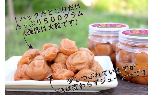 訳あり 無添加 梅干し 紀州梅香の減塩3%つぶれ梅 約1kg(500g x 2) 中～大粒 はねだし梅 紀州南高梅 産直) 3-G
