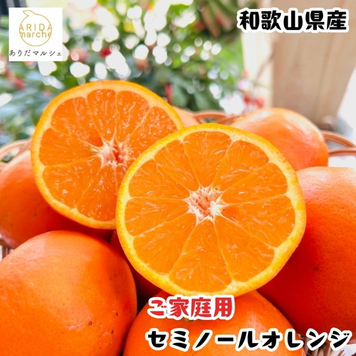 セミノールオレンジ（ご家庭用） 10kg+200g(補償分) ｜ 柑橘 フルーツ 果物 くだもの 食品 人気 おすすめ 選べる 国産 美浜町