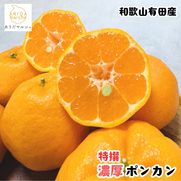 極甘 柑橘 特撰 濃厚 ポンカン 1.5kg+200g(傷み補償分)