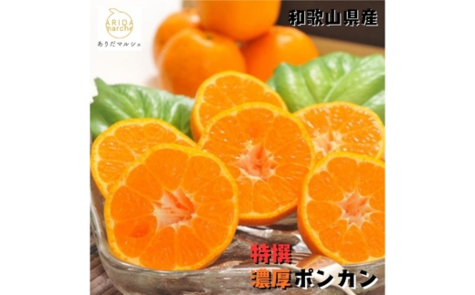 【特選】濃厚 ポンカン 3kg ｜ みかん 蜜柑 柑橘 果物 フルーツ くだもの 果実 国産 和歌山県 晩柑