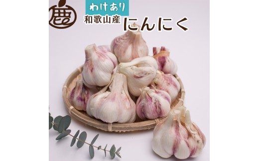 ＜5月より発送＞ 家庭用 生にんにく 1kg