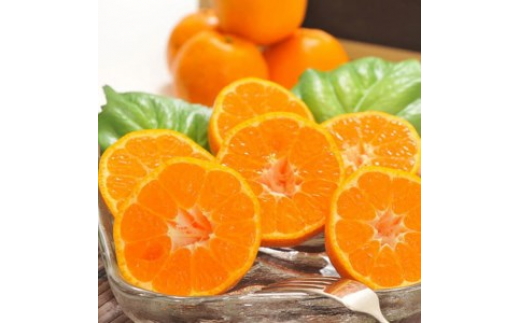 【先行予約】【冬の美味】【農家直送】濃厚ポンカン（ご家庭用）約3kg ｜ 有田 柑橘 フルーツ みかん オレンジ 産地直送