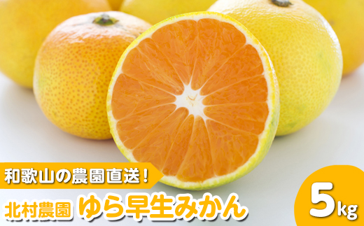 和歌山の農園直送！北村農園のゆら早生みかん5kg《先行予約》