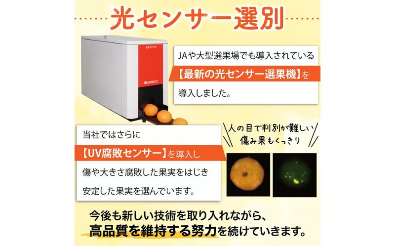 【先行予約】こだわりの青切りみかん 約5kg 農家直送 有機質肥料 100% サイズ混合 ｜ みかん 柑橘 果物 くだもの 果実 フルーツ 和歌山 有田