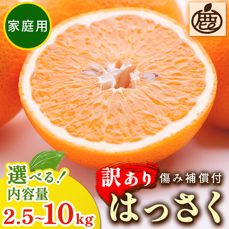 ＜1月より発送＞家庭用 はっさく2.5kg+250g（傷み補償分） ｜ 八朔みかん わけあり 訳あり ワケアリ ※2026年1月上旬～3月下旬頃に順次発送予定 ※北海道・沖縄・離島への配送不可 ◇