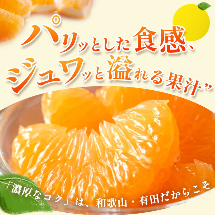 ＜4月より発送＞厳選 樹上完熟はっさく2.5kg+250g（傷み補償分）【有田の春みかん・五月八朔・さつきはっさく・木生りはっさく・きなりはっさく】【光センサー選別】