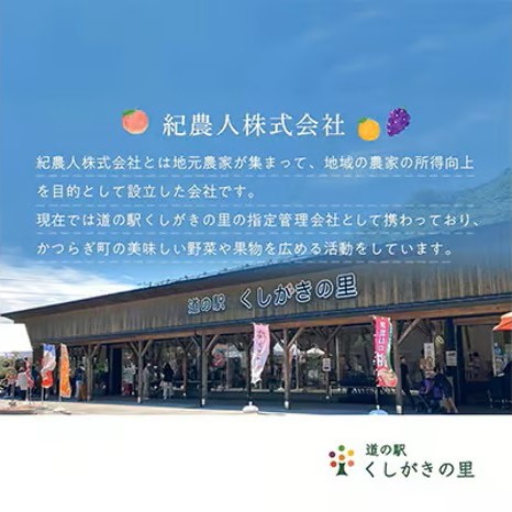 先行受付!　柿　種無し　赤秀品　大玉　5～6個　約2kg