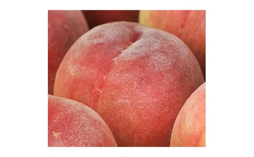 白桃 約1kg（4～5玉）和歌山県産 厳選 化粧箱入り ｜ 白鳳・清水白桃・川中島・もも・はくとう【化粧箱入り】