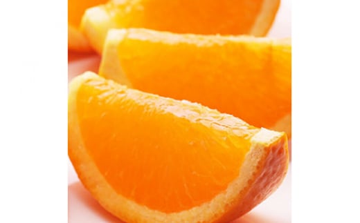 ＜2月より発送＞家庭用 清見オレンジ7.5kg+250g（傷み補償分）【光センサー食頃出荷】【樹上完熟きよみオレンジ・清見タンゴール・清美】【わけあり・訳あり】