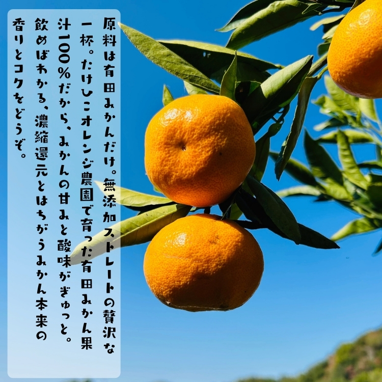 有田 みかん 100％の ジュース 1,000ml×1本