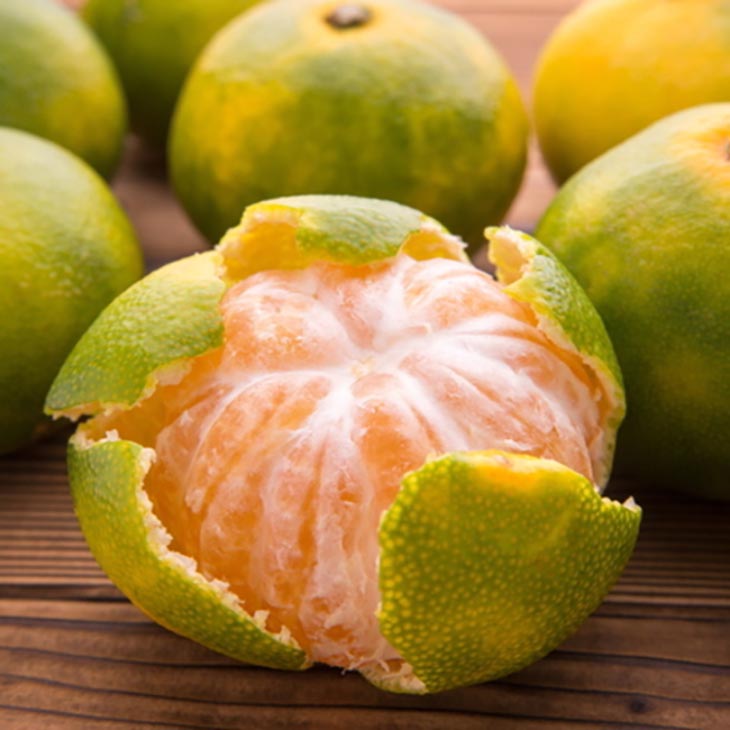 【先行予約】特撰 ゆら早生有田みかん 3.2kg(3kg+200g(傷み補償分))