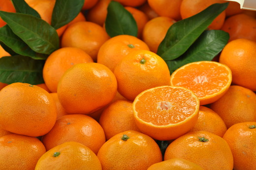 ブランド 有田 みかん 秀品 約2.8kg【サイズおまかせ】