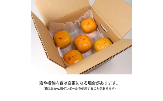 家庭用 訳あり たねなし 柿 1kg 【刀根早生・平核無柿（ひらたねなしかき）】