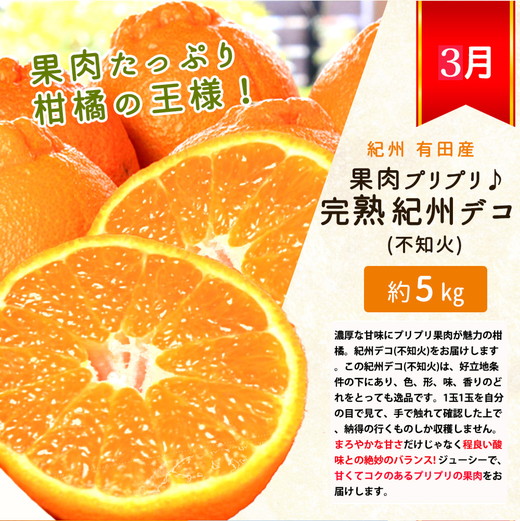 【定期便】【1・2・3月 全3回】紀州和歌山産旬 フルーツ定期便（いちご  約250g×4P 1月、ポンカン 5kg 2月、紀州デコ 約5kg 3月発送）