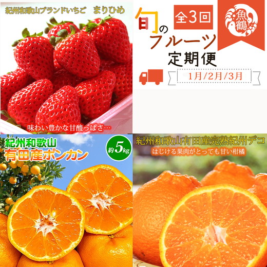【定期便】【1・2・3月 全3回】紀州和歌山産旬 フルーツ定期便（いちご  約250g×2P 1月、ポンカン 5kg 2月、紀州デコ 約3kg 3月発送）