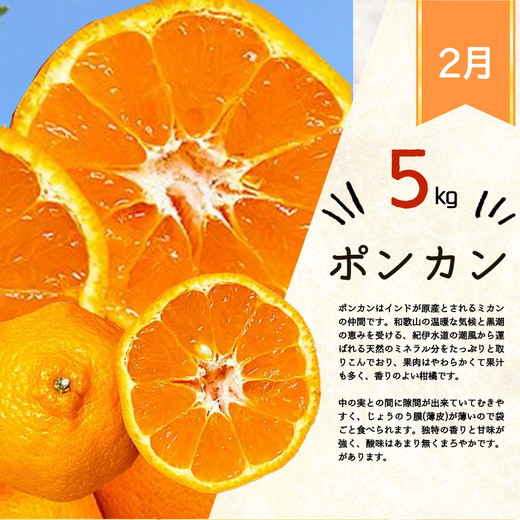 【定期便】【1・2・3月 全3回】紀州和歌山産旬 フルーツ定期便（いちご  約250g×2P 1月、ポンカン 5kg 2月、紀州デコ 約3kg 3月発送）