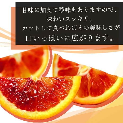【先行予約】 家庭用 ブラッド オレンジ 3kg 紀州有田産 希少な柑橘フルーツ!