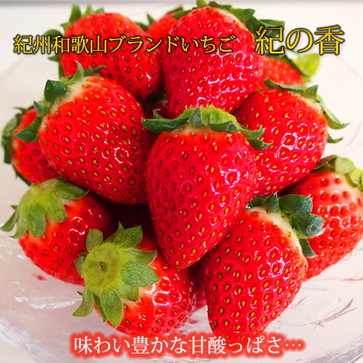 【先行予約】 紀州和歌山産 ブランド いちご 「紀の香」約250g×4パック（計約1kg）