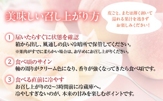 白桃 約1kg（4～5玉）和歌山県産 厳選 化粧箱入り ｜ 白鳳・清水白桃・川中島・もも・はくとう【化粧箱入り】