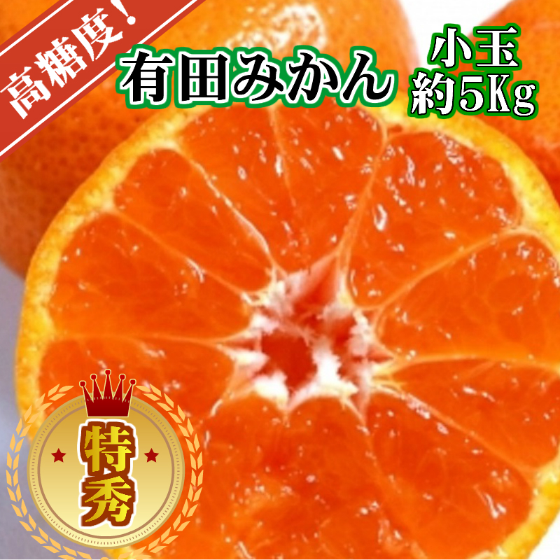 【先行予約】【特秀品】有田みかん 和歌山県産 約5kg（小玉 S～Mサイズ混合）