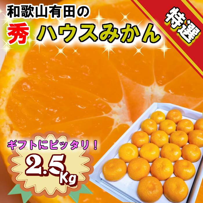 【6月発送】【特選】【赤秀】ハウスみかん 和歌山有田 約2.5kg （S～Lサイズ混合）