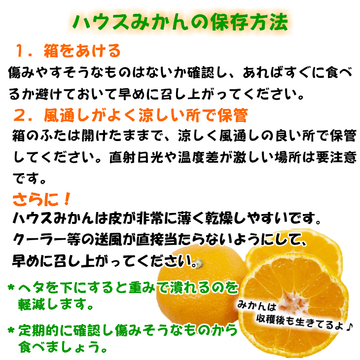 【6月発送】【特選】【赤秀】ハウスみかん 和歌山有田 約2.5kg （S～Lサイズ混合）
