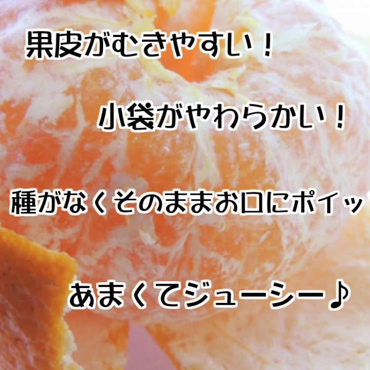 【先行予約】【秀品】デコポン 和歌山有田 約5kg