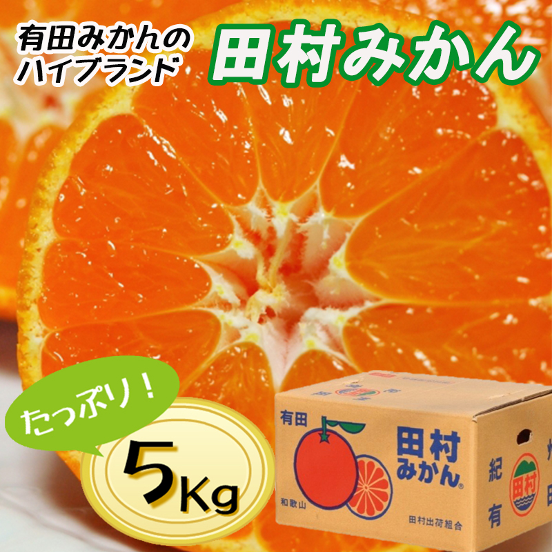 【先行予約】【秀品】田村みかん 和歌山有田 約5kg