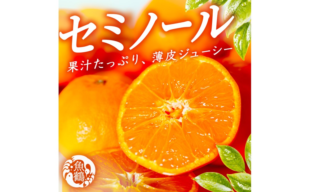 【先行予約】 セミノールオレンジ 約5kg ジューシー柑橘 和歌山県産