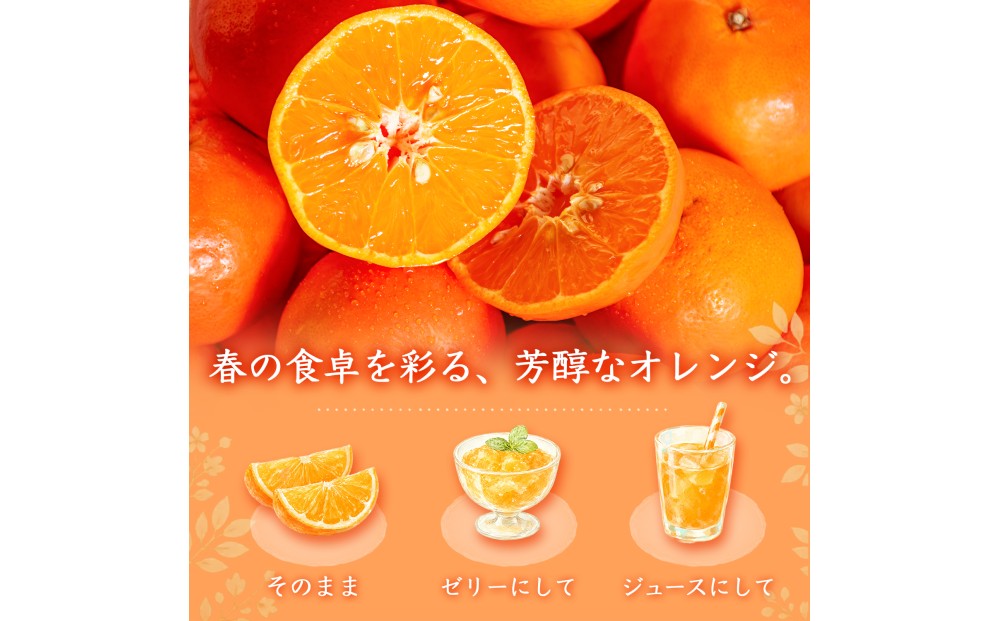 【先行予約】 セミノールオレンジ 約5kg ジューシー柑橘 和歌山県産