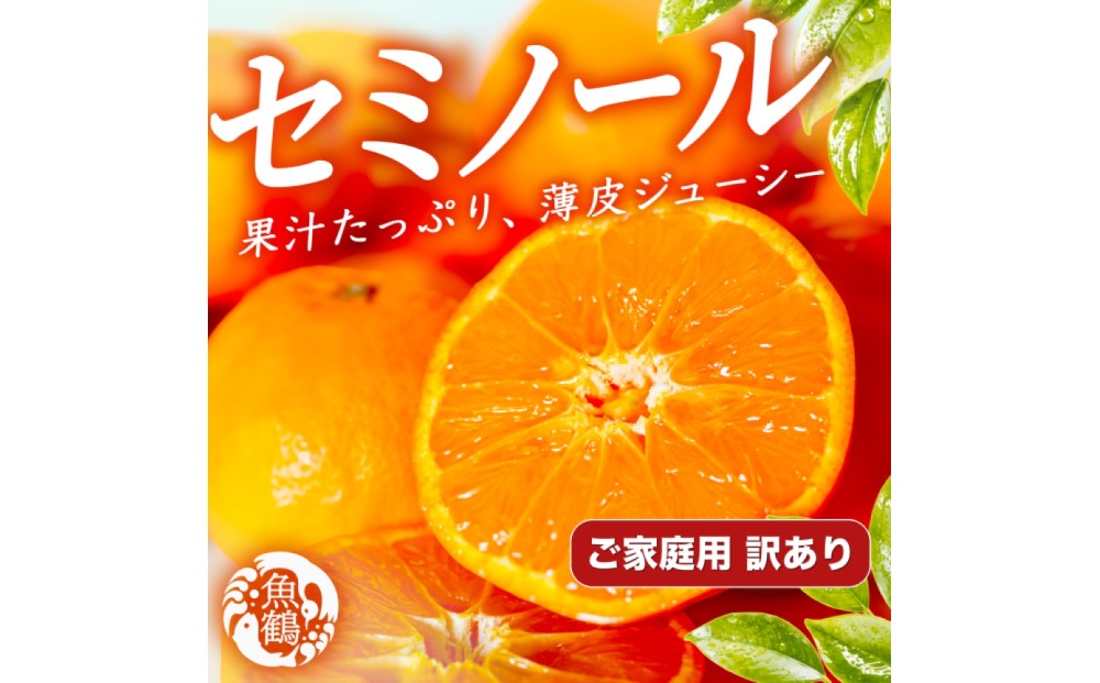 【先行予約】【訳あり・ご家庭用】 セミノールオレンジ 約5kg ジューシー柑橘 和歌山県産