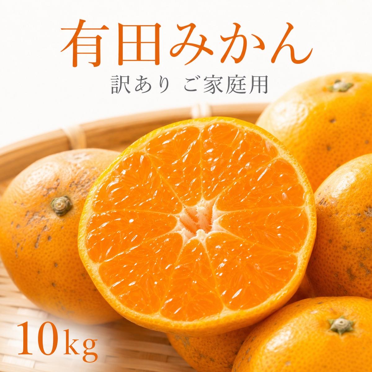 【先行予約】【訳あり・ご家庭用】有田みかん 約10kg（2S～2Lサイズ混合）和歌山県産
