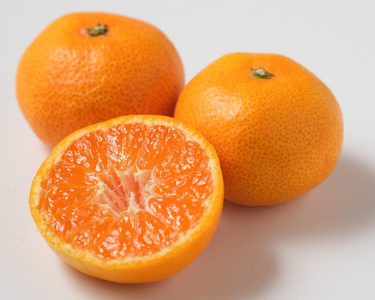 【先行予約】【秀品】紀州和歌山産 温州みかん 約2kg（箱込み） M～2L サイズ混合（極早生・早生・中生）