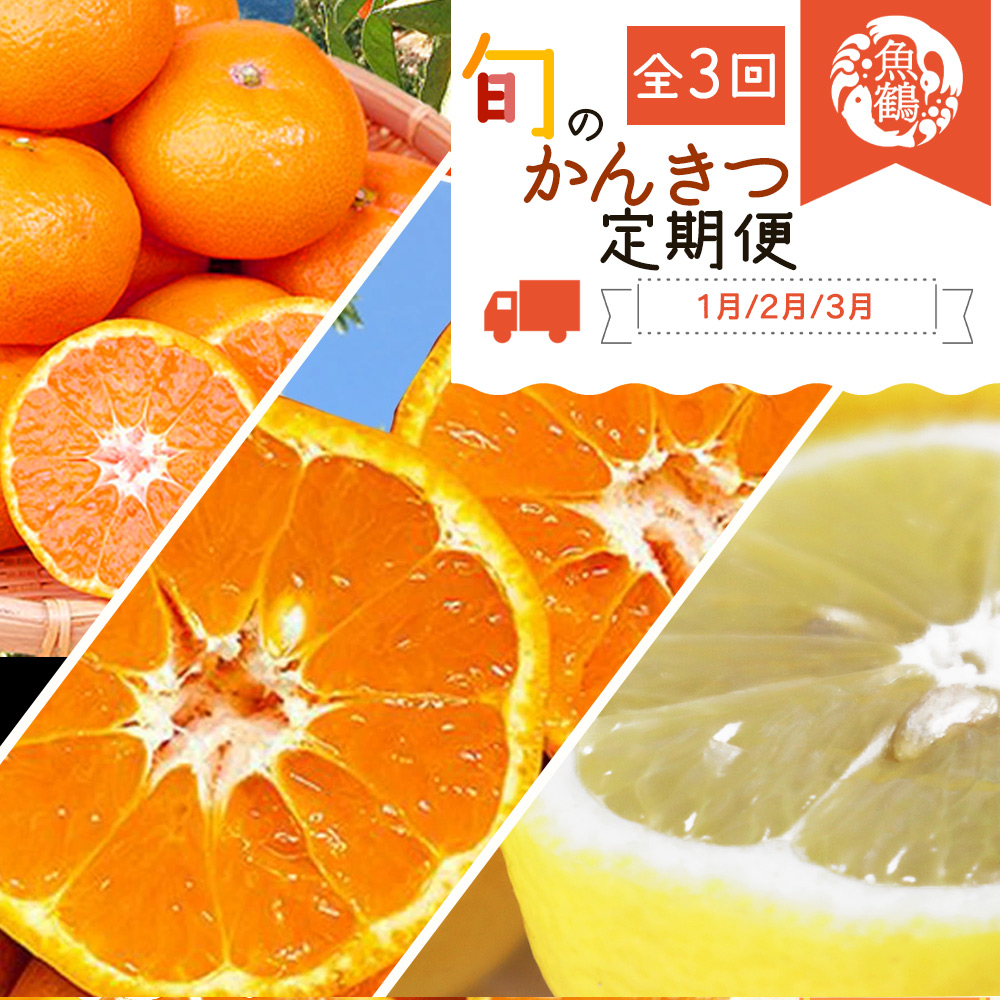 〈定期便〉【1・2・3月 全3回】紀州和歌山産旬のフルーツセット(みかん・ポンカン・レモン)