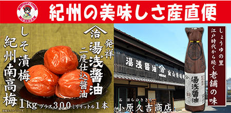 【Ａ級品】紀州南高梅しそ漬梅干1kgと湯浅醤油1本　美浜町※離島への配送不可