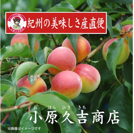 【訳あり】やわらかすぎてできた つぶれはちみつ味梅干し 2kg◇ 美浜町 ふるさと納税 梅干 梅干し ※離島への配送不可