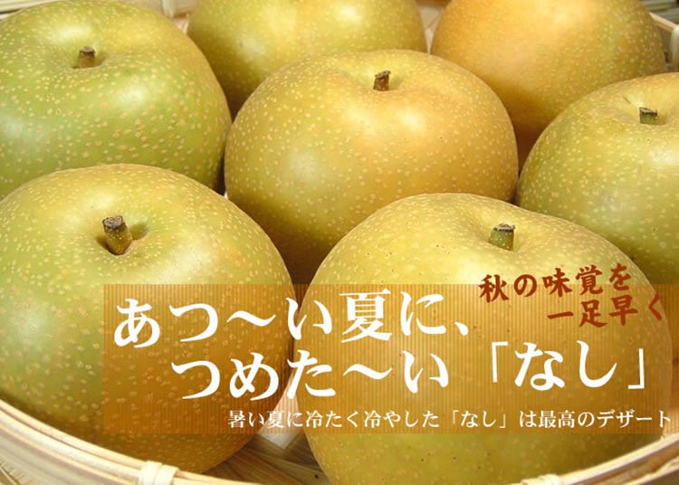 新鮮・産直】和歌山県産紀の川のカット巨峰約800g｜ぶどう 葡萄 きょ