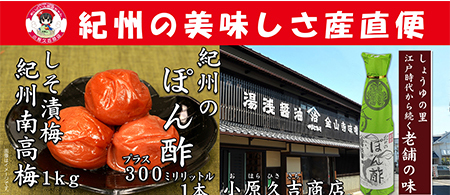 【Ａ級品】紀州南高梅しそ漬梅干1kgと紀州のぽんず1本　美浜町※離島への配送不可