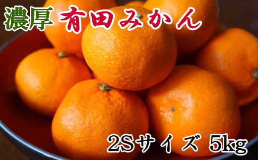 秀品】 和歌山 有田みかん 5kg（2Sサイズ） ※着日指定不可 ※2023年11月