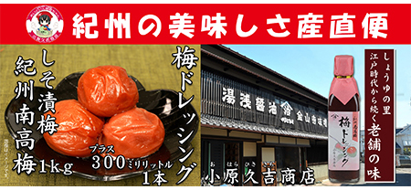 南高梅しそ漬梅干1kgと梅ドレッシング1本　美浜町※離島への配送不可